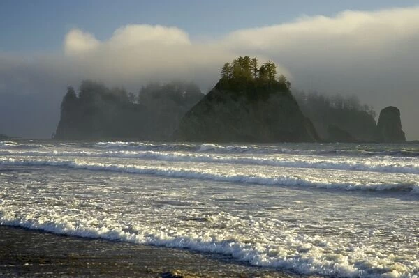 Sea Stacks and Coastal Fog Rialto Beach, Olympic National Park, Washington State, USA LA001507