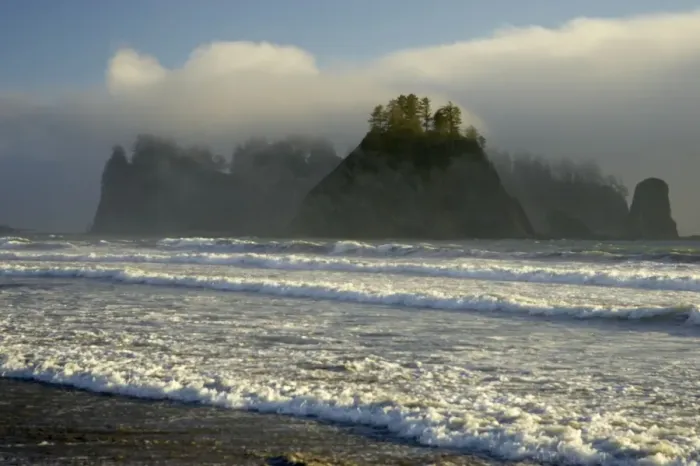 Framed Print : Sea Stacks and Coastal Fog Rialto Beach, Olympic National Park, Washington State, USA LA001507 Framed Print : Sea Stacks and Coastal Fog Rialto Beach, Olympic National Park, Washington State, USA LA001507