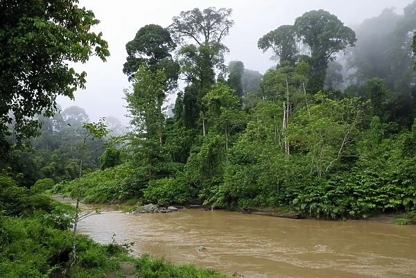 Segama river at lowland rainforest of Danum Valley Conservation Area - Sabah - Borneo - Malaysia