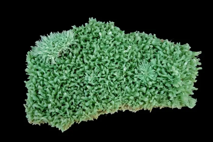 Framed Print : Selenite (CaSO4-2H2O) (Hydrous calcium sulfate) - Form of Gypsum - Australia - Formed in evaporite deposits - Green color caused by leaching from mine waste Framed Print : Selenite (CaSO4-2H2O) (Hydrous calcium sulfate) - Form of Gypsum - Australia - Formed in evaporite deposits - Green color caused by leaching from mine waste