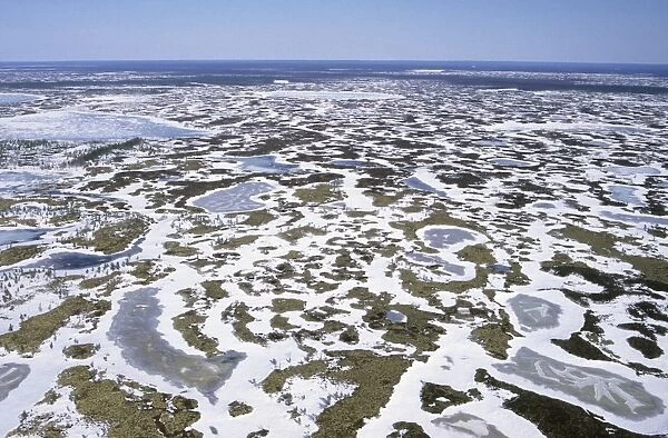 Semi-tundra aerial, North Siberia Helicopter view over frozen lakes in semi-tundra near river Taz; early spring; North Tumen region, Russia Tz30. 0372
