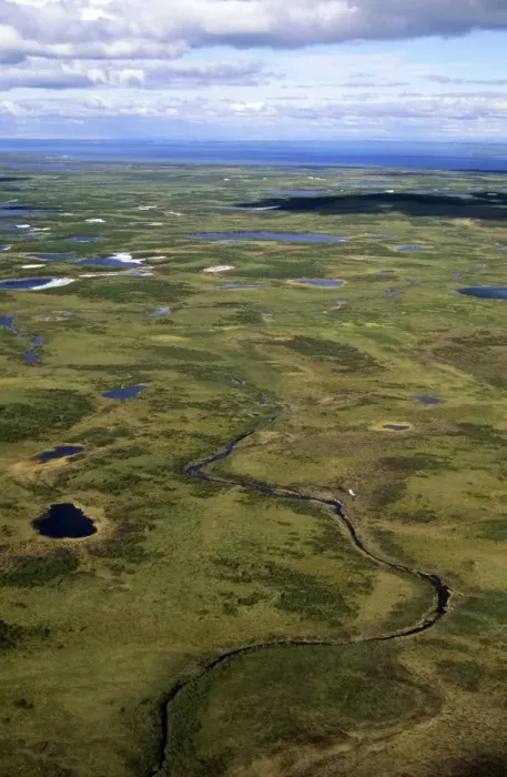 Framed Print : Semi-tundra, aerial view from a helicopter. A typical landscape near large lake Pyasina, Taimyr peninsula, North of Siberia, Russian Arctic, summer. Di33. 1904 Framed Print : Semi-tundra, aerial view from a helicopter. A typical landscape near large lake Pyasina, Taimyr peninsula, North of Siberia, Russian Arctic, summer. Di33. 1904