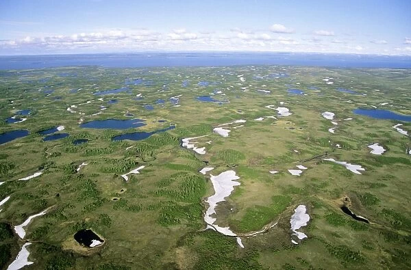 Semi-tundra - aerial view from a helicopter. A typical landscape near giant lake Pyasina, Taimyr peninsula, North of Siberia, Russian Arctic. Summer, July. Di33. 2359