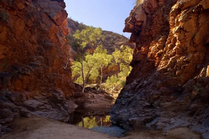 Framed Print : Serpentine Gorge - towering red cliffs at the entrance of Serpentinge Gorge and a semi-permanent waterhole. The floor of the gorge is lined with gum trees backlighted by the sun - West MacDonnell National Park, Northern Territory, Australia Framed Print : Serpentine Gorge - towering red cliffs at the entrance of Serpentinge Gorge and a semi-permanent waterhole. The floor of the gorge is lined with gum trees backlighted by the sun - West MacDonnell National Park, Northern Territory, Australia
