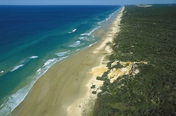 Seventy Five Mile Beach Great Sandy National Park, Fraser Island, Queensland, Australia JPF33691