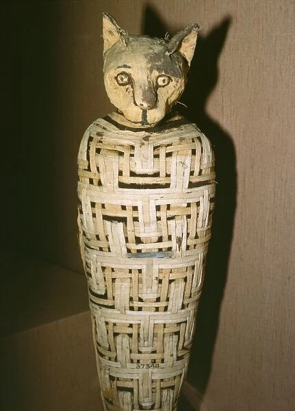 SGI-3920. Egypt - Mummified Cat, dedicated to Goddess Bastet. 30 BC
