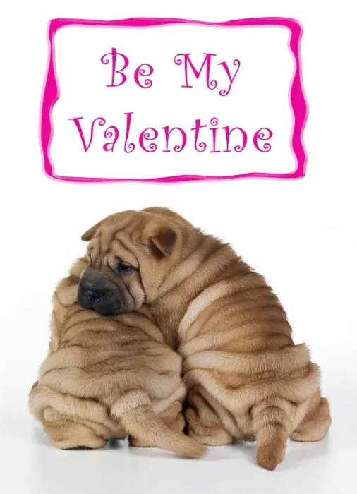 Framed Print : Shar Pei Dog 2 puppies under valentines sign Framed Print : Shar Pei Dog 2 puppies under valentines sign