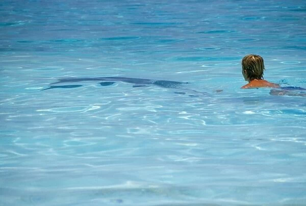 Shark Near Swimmer-Australia