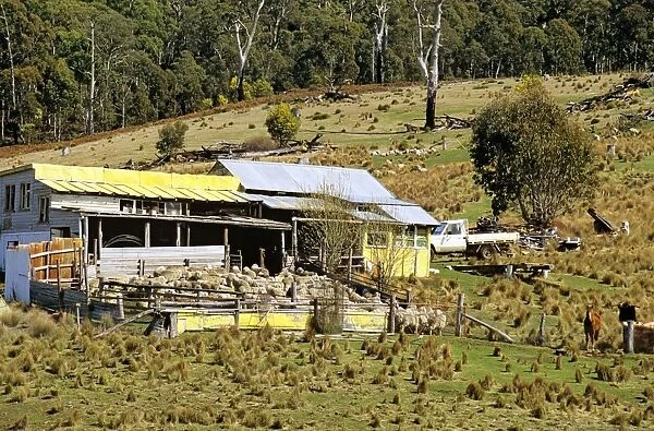 Sheep station - Alpine region, New South Wales, Australia JLR03715