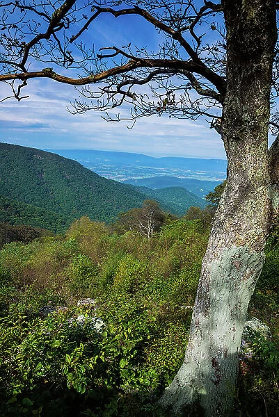 Shenandoah vista, Blue Ridge Parkway, Smoky Mountains, USA. Date: 02-10-2018