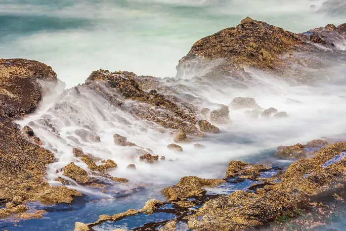 Framed Print : Shore Acres State Park, Oregon, USA. Blur of waves flowing over rocks. Date: 01-05-2021