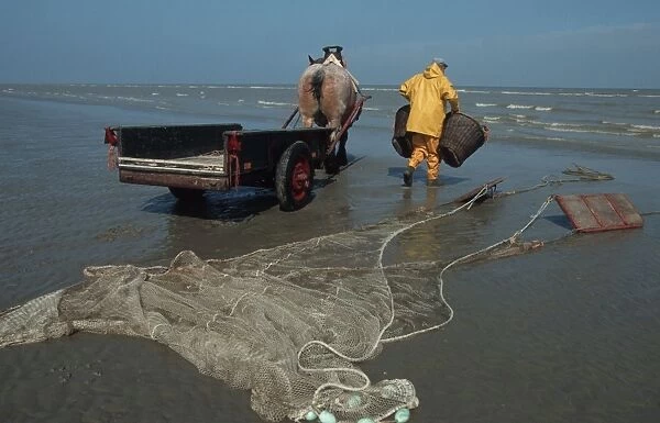 Shrimp FISHERMAN - and drafthorse with baskets and net