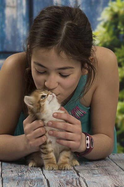 Siberian kitten and girl inside