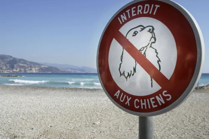 Framed Print : Sign on beach - dogs forbidden France Framed Print : Sign on beach - dogs forbidden France