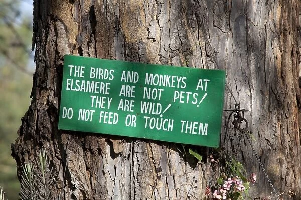 Sign on tree - Do not touch or feed birds and monkeys - Elsamere Naivasha - Kenya