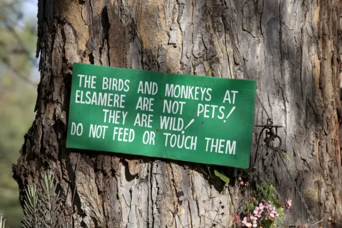 Framed Print : Sign on tree - Do not touch or feed birds and monkeys - Elsamere Naivasha - Kenya Framed Print : Sign on tree - Do not touch or feed birds and monkeys - Elsamere Naivasha - Kenya