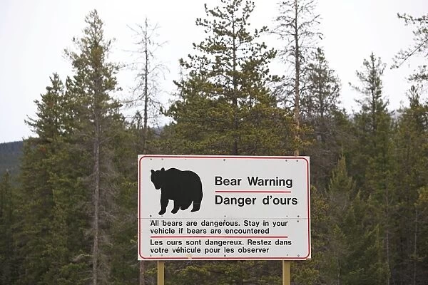 Sign - warning to stay in your car if Bears are encountered. Rocky mountains - Jasper national park - Alberta - Canada
