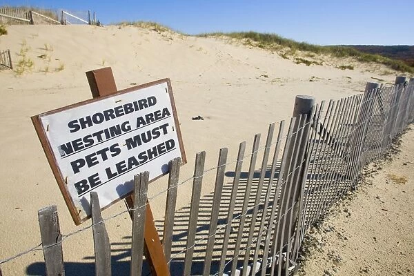 Signs for protecting nesting shorebirds on Cape Cod. October in MA