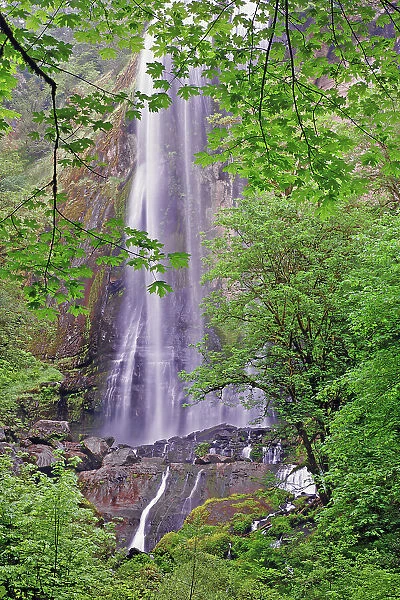 Silver Falls, Golden and Silver Falls State Natural Area, Oregon Date: 06-06-2009