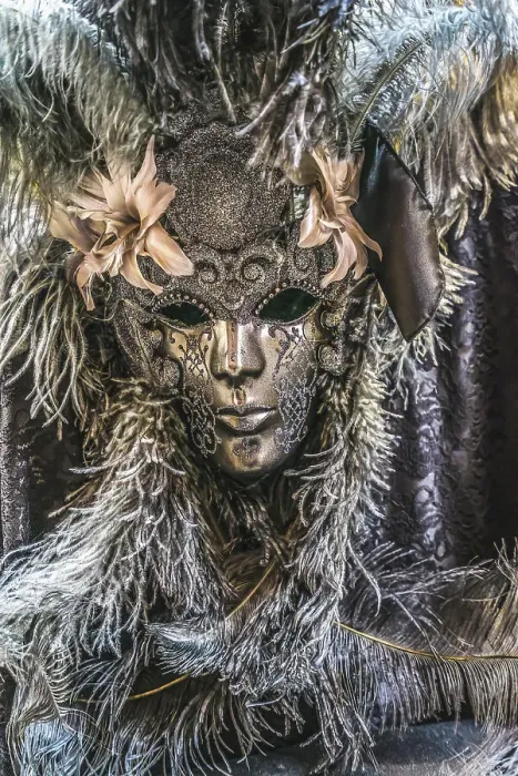 Framed Print : Silver Venetian mask feathers, Venice, Italy. Used since 1200's for Carnival. Also used for Mardi Gras Date: 27-01-2021 Framed Print : Silver Venetian mask feathers, Venice, Italy. Used since 1200's for Carnival. Also used for Mardi Gras Date: 27-01-2021