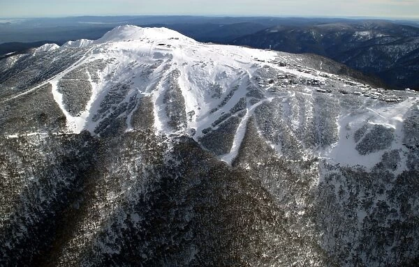 Ski runs on Mount Buller in winter. Mount Buller