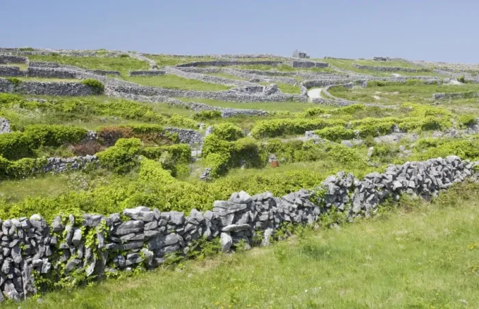 Framed Print : Small limestone-walled old fields on Inisheer the Burren, western Eire Framed Print : Small limestone-walled old fields on Inisheer the Burren, western Eire