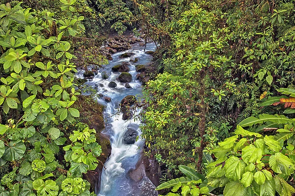 Small stream or creek, Costa Rica Date: 19-03-2011