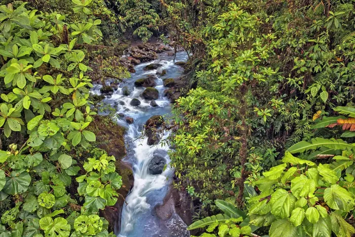 Framed Print : Small stream or creek, Costa Rica Date: 19-03-2011