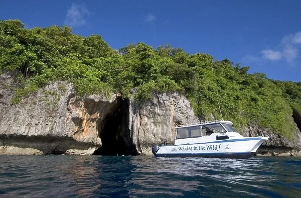 Small whale watching vessel - snorkeling at Swallow's Cave Vava'u, Kingdom of Tonga, South Pacific