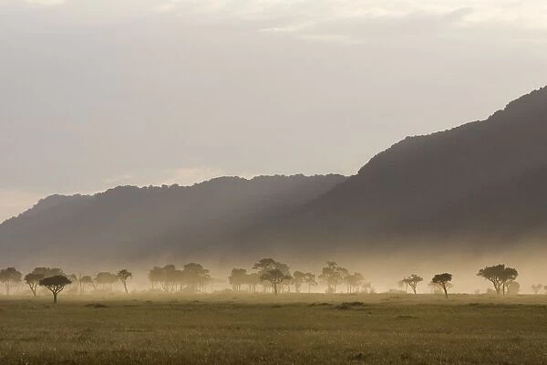 Smoke in Acacias at sunset - Masai Mara Triangle - Kenya