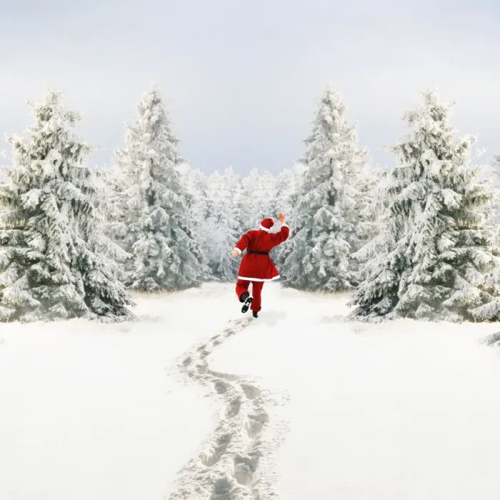 Framed Print : Snow - Father Christmas making footprints in winter landscape with conifers Framed Print : Snow - Father Christmas making footprints in winter landscape with conifers