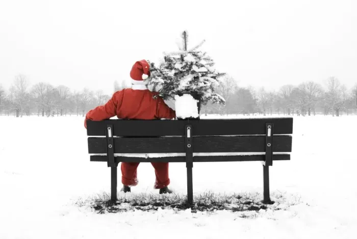 Framed Print : Snow - Father Christmas sitting on park bench with a Christmas tree Framed Print : Snow - Father Christmas sitting on park bench with a Christmas tree