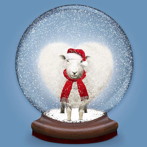 Snow globe containing heart shaped Sheep  /  Ewe