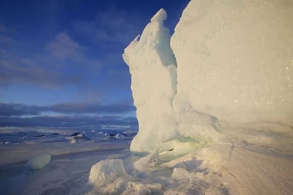 Snow Hill Island - Antarctic Pennisular