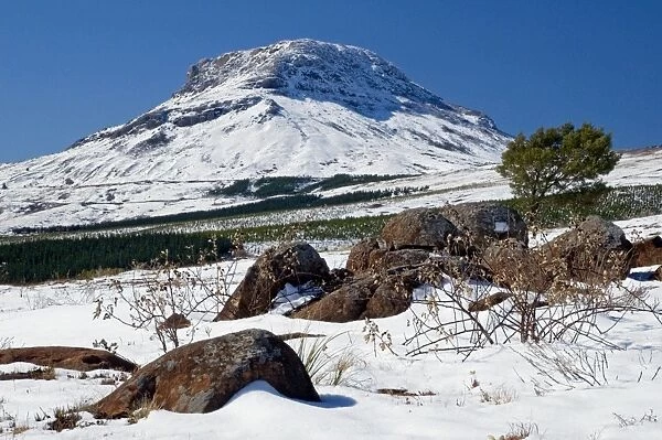 Snow at Hogsback, Amatola Mountains, Eastern Cape, South Africa
