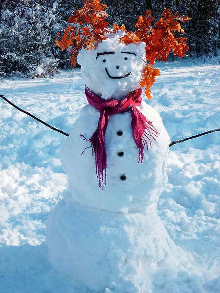 Snowman - with scarf in winter scene Digital Manipulation: tidied face & arm, added buttons