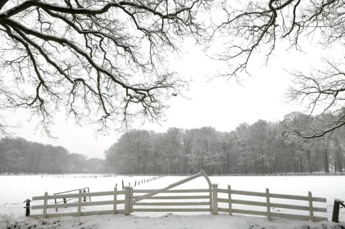 Framed Print : snowy landscape Framed Print : snowy landscape