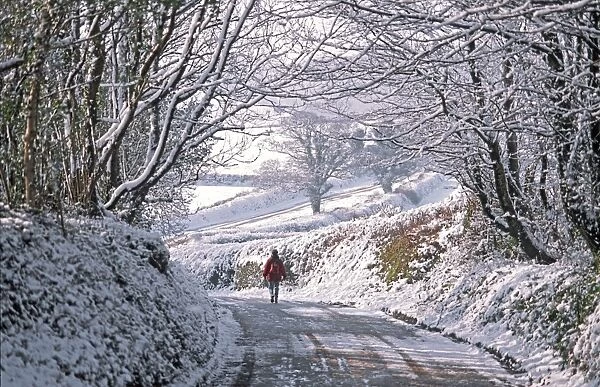 Solitary female pedestrian walks through snow covered English winter landscape along country lane bordered by tall hedges and overhanging trees toward more open sunlit countryside