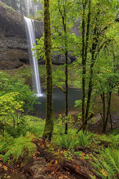 South Falls at Silver Falls State Park near Sublimity, Oregon, USA Date: 05-10-2021