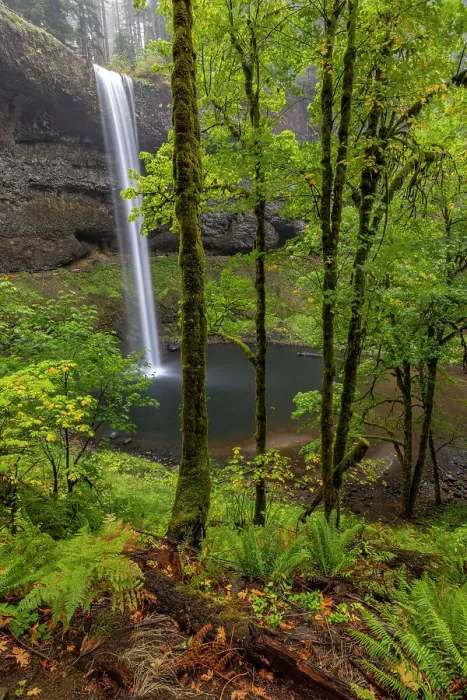 Framed Print : South Falls at Silver Falls State Park near Sublimity, Oregon, USA Date: 05-10-2021
