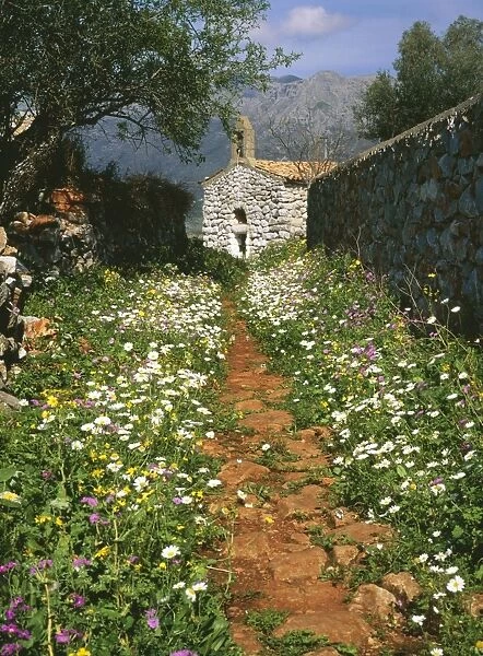 South Greece ROG 10785 Old chapel with flowery path. Pygros Dinoli, Mani Peninsula S. Greece. © Bob Gibbons  /  ARDEA LONDON
