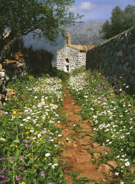 Framed Print : South Greece ROG 10785 Old chapel with flowery path. Pygros Dinoli, Mani Peninsula S. Greece. © Bob Gibbons / ARDEA LONDON Framed Print : South Greece ROG 10785 Old chapel with flowery path. Pygros Dinoli, Mani Peninsula S. Greece. © Bob Gibbons / ARDEA LONDON