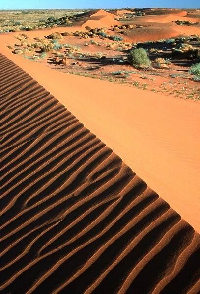 Southern Australia - Strzelecki Desert, sand dunes