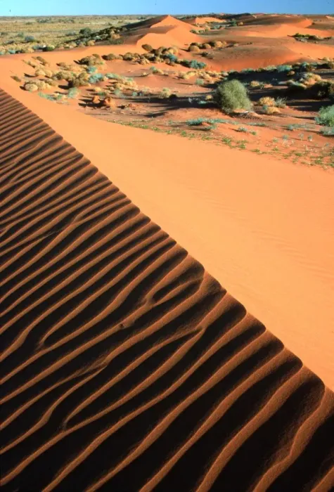 Framed Print : Southern Australia - Strzelecki Desert, sand dunes