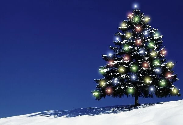 Spruce Tree - In winter snow with Christmas lights. Germany. Digital Manipulation: Added darkness & lights