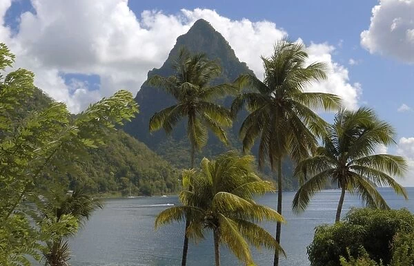 St. Lucia - The Bay at Soufriere & Gros Piton beyond. Palm trees in foreground. Windward Islands, St. Lucia. February