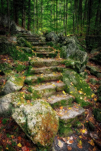 Staircase to Wigwam Falls, Virginia, Blue Ridge Parkway Date: 04-10-2018