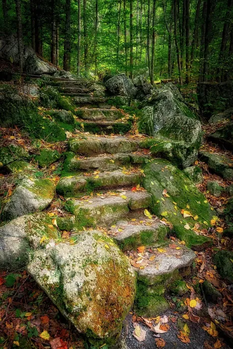 Framed Print : Staircase to Wigwam Falls, Virginia, Blue Ridge Parkway Date: 04-10-2018 Framed Print : Staircase to Wigwam Falls, Virginia, Blue Ridge Parkway Date: 04-10-2018