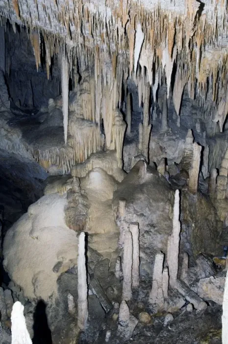 Framed Print : Stalactites and stalagmites in Mammoth Cave, Margaret River, Western Australia Framed Print : Stalactites and stalagmites in Mammoth Cave, Margaret River, Western Australia