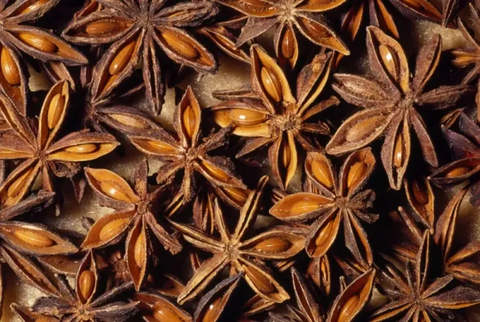 Framed Print : Star Anise - whole seed pod, dried. Herb / spice. Native to: South Western China Framed Print : Star Anise - whole seed pod, dried. Herb / spice. Native to: South Western China